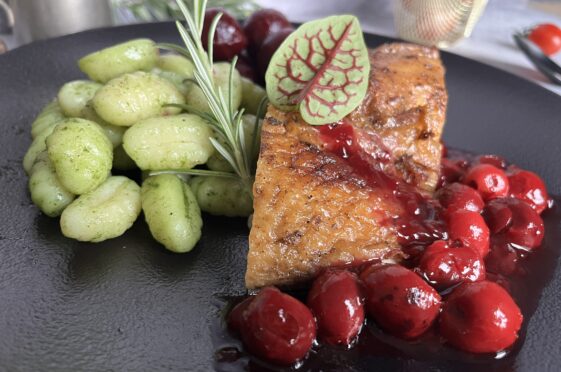 Roast duck with cherries